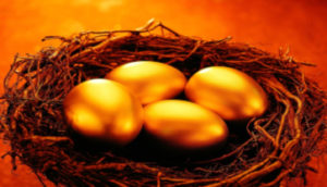 Maximizing Your Retirement Nest Egg