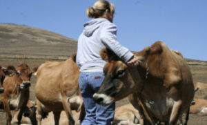 Tillamook Makes a Difference on National Farmer’s Day