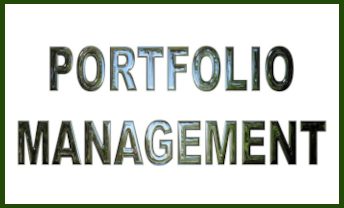 IN Portfolio Management