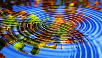 Ripples